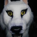 Artic Wolf-Fox